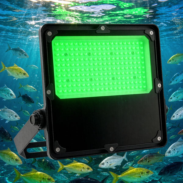 Above Water Green Fishing Lights